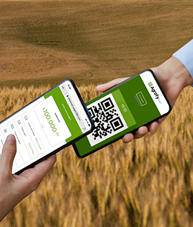Agrofy Pay